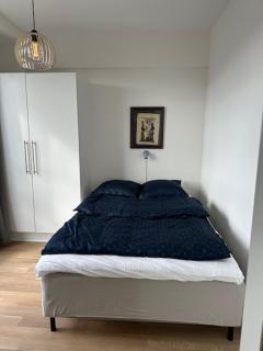 37-2-2 City Apartment Dæmningen - 1