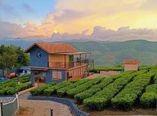 Cloud Canopy - Tea Garden Family Pool Cottage in Vagamon - 2