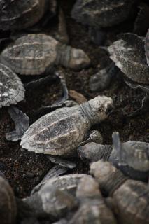 Mike's Adventures Guest House - 6