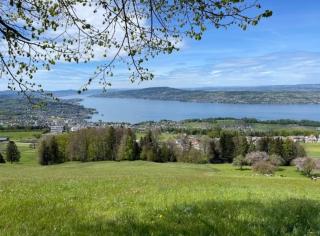 zimmer mit zauberhafter Seesicht - Room with amazing view of lake - Feusisberg - 8
