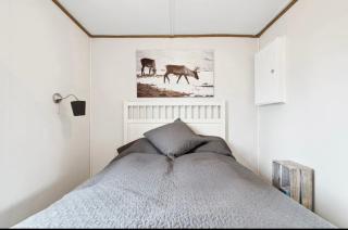 Steigen Cabin North - Steigen - 6