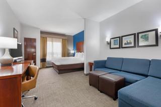 Comfort Suites DFW N-Grapevine - 1