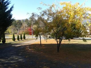 Sunburst Retreat - Eildon - 3