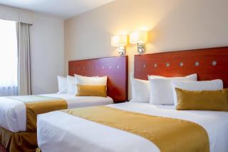 Comfort Inn Queretaro Tecnologico - Querétaro - 3