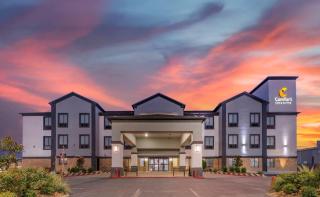 Comfort Inn & Suites Schulenburg - 8