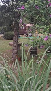 La roulotte au bord de l'étang - 2