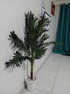 BR Homes Bungoma - 6