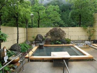 Totsukawa Onsen HOTEL SUBARU - Totsukawa - 6