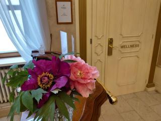 Hotel Château Cihelny - 3