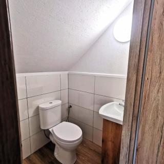Siedlisko przy lesie Musiejówka - 3