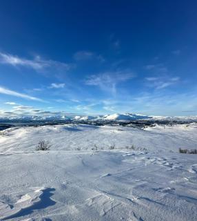 Large house with a fantastic view at Senja - - 5