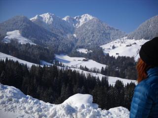 Appartement Schilcher - 8