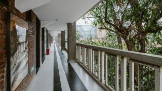 Panda Holiday Hotel - 3