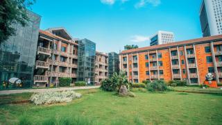 Panda Holiday Hotel - 4