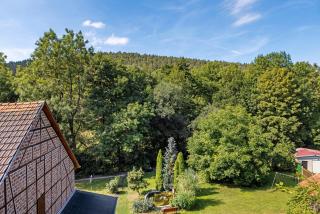 Ferienwohnung Kleinbreitenbach 2 - Plaue - 9