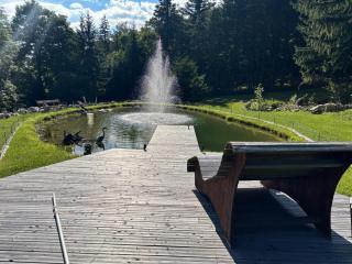 Landhaus Gschaiderhof - 4