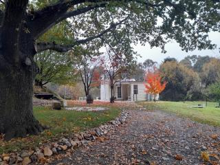 Old Oak Tree Cottage - 5