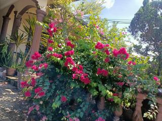 Homestay Hidayah - 0