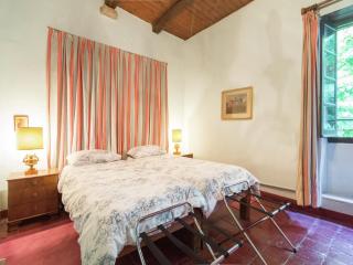 Guest House in Monferrato with Wine Tasting - 7