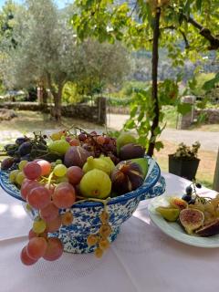 Sailor's Rustic House - Virpazar - 8