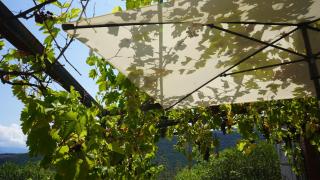 El Casot Alt - Mosset - 4