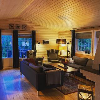 Mountain lodge with sauna, by Damtjernet - 7