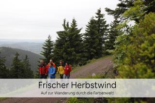 Haus Repin, Oberhof, historische Villa am Rennsteig, Thüringer Wald - 8