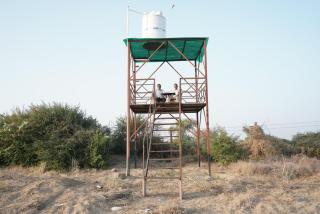 Jodhpur Farms - Farm Stay - 4