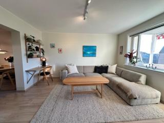 Cozy and spacious apartment at Hasle - 0