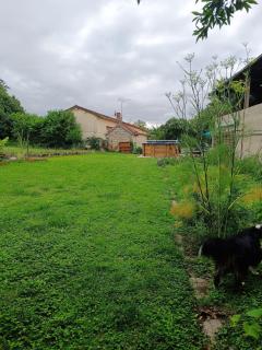 Charmante petite maison à la campagne - 4