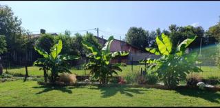 Charmante petite maison à la campagne - 8