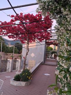 Domus San Vincenzo - 2