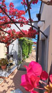 Domus San Vincenzo - 5