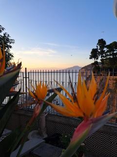 Domus San Vincenzo - 1