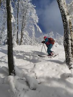 Apartment in Markoušovice - 5
