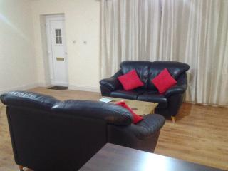 Galway 2-Bed Apt Sleeps 4 5-min walk to Station - Galway - 0