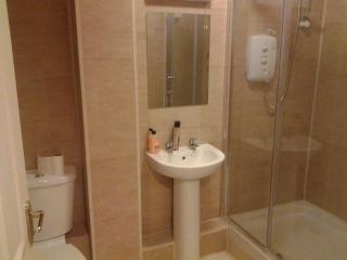 Galway 2-Bed Apt Sleeps 4 5-min walk to Station - 8