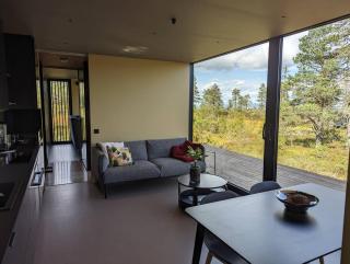 Modern cabin in Blefjell - Svene - 4