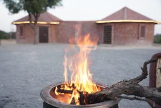 Jodhpur Farms - Farm Stay - 7