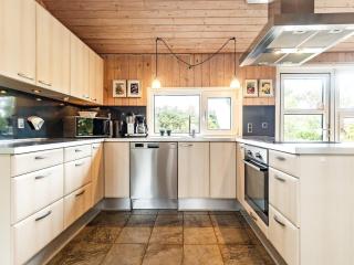 Luxury Pool House in Lonstrup - By Traum Ferienwohnungen - 1