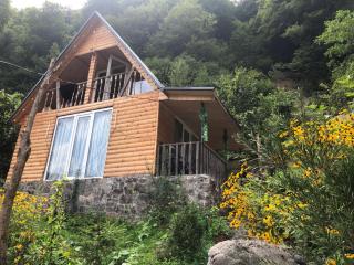 Anna villa - 1