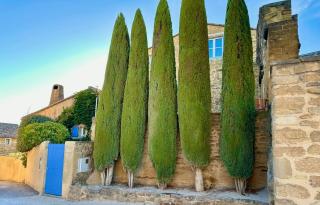 Le Clos du Vialle, piscine, petit-déjeuner inclus, parking - Grillon - 5