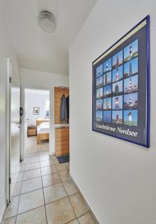 Am Grooten Steen - Seehund - 9