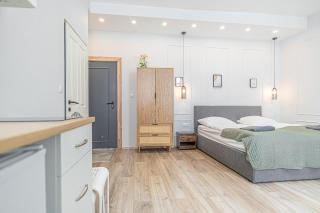 Private and Elegant Studio in Residential Vienna - 1