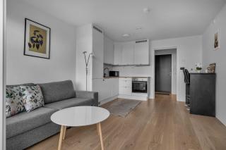 City apartment in Tromsø - 9