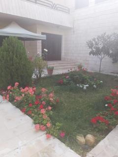 nice house - Amman - 3