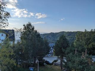 Silverpine, Kopaonik - 9