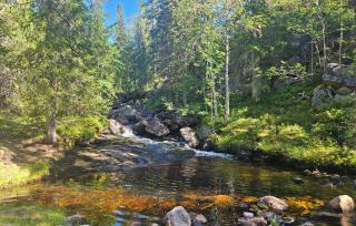 5 Bedroom Stunning Home In Eggedal - Eggedal - 2