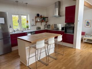 Spacious Villa for Christmas Holiday, close to Copenhagen - Hørsholm - 4