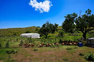 Vila Dr Bizhga Agroturizem - 7